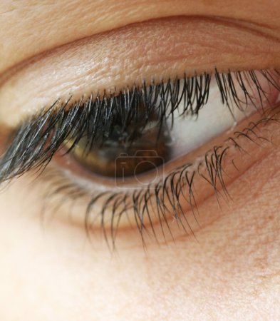 Macro oeil 