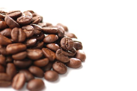 Graine de café 