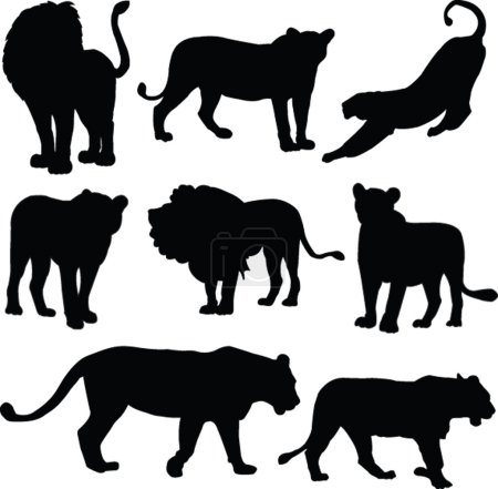 Collection silhouette Lions 