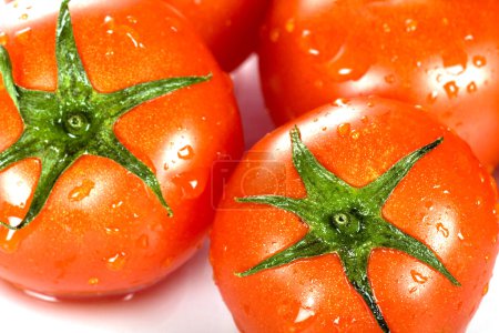 Tomates fraîches humides rouges parfaites 