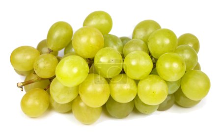 Vin