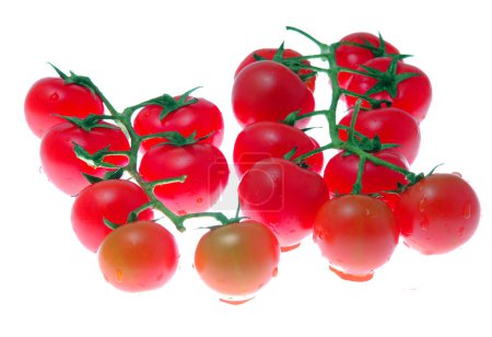 Tomate cerise 