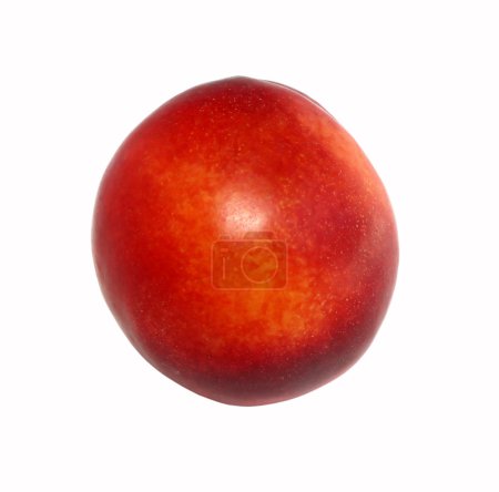 nectarine mûre 