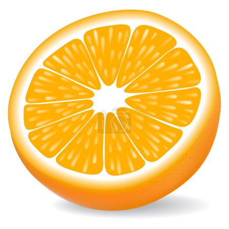 Segment orange 