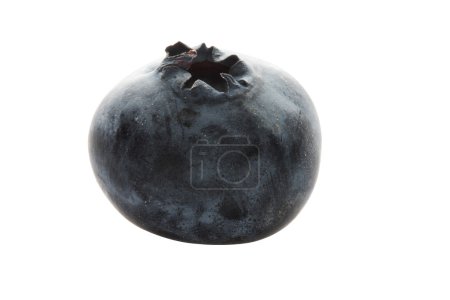 Une myrtille 