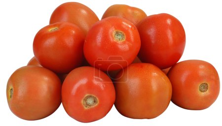 Des tomates. Isolé .