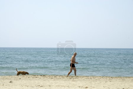Courir avec son chien 
