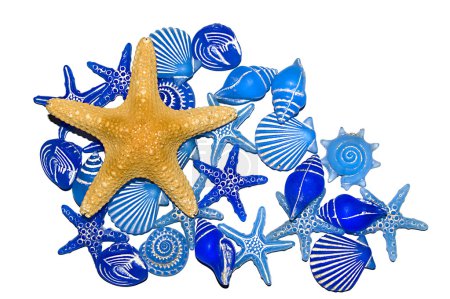 Coquilles bleues et un poisson étoilé 