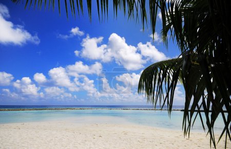 Scène de plage