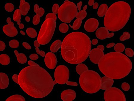 Cellules sanguines rouges