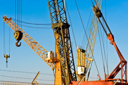 grues