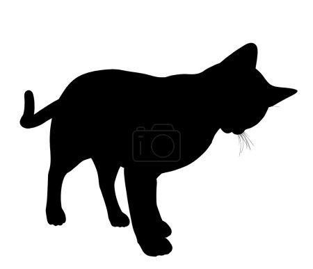 Silhouette d'illustration de chat 