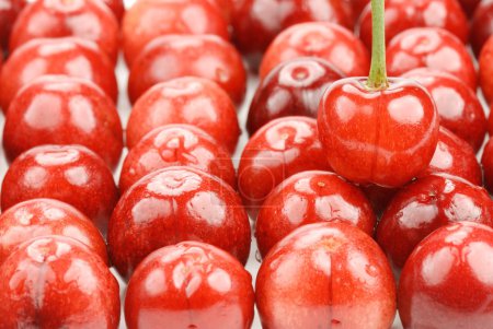 Cerises rouges