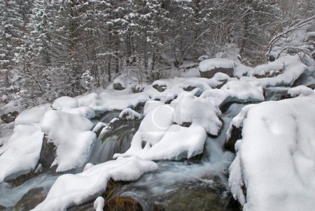 Ruisseau de montagne d'hiver pendant les chutes de neige 