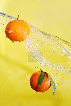 Deux mandarines et des éclaboussures d'eau 